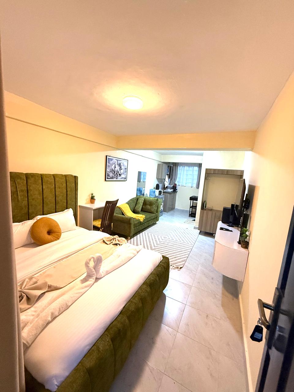 Executive Studio Moi South Lake Road,Naivasha (F4)