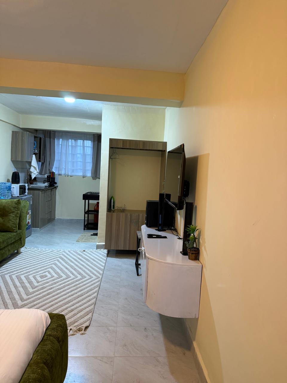Executive Studio Moi South Lake Road,Naivasha (F4) 4