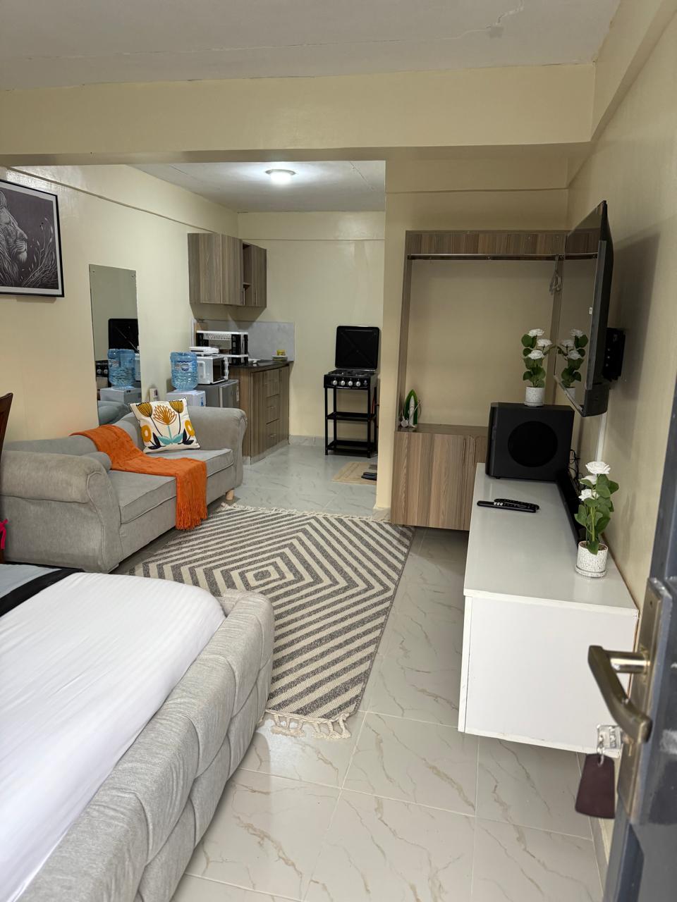 Executive Studio  Moi South Lake Road, Naivasha (T1) 2