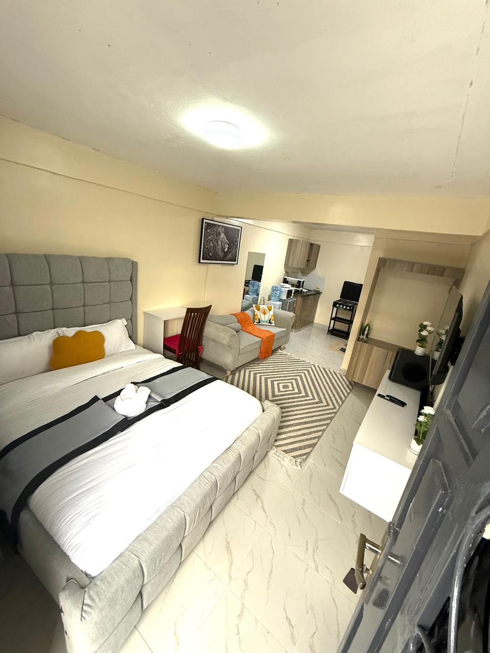Executive Studio  Moi South Lake Road, Naivasha (T1) 3