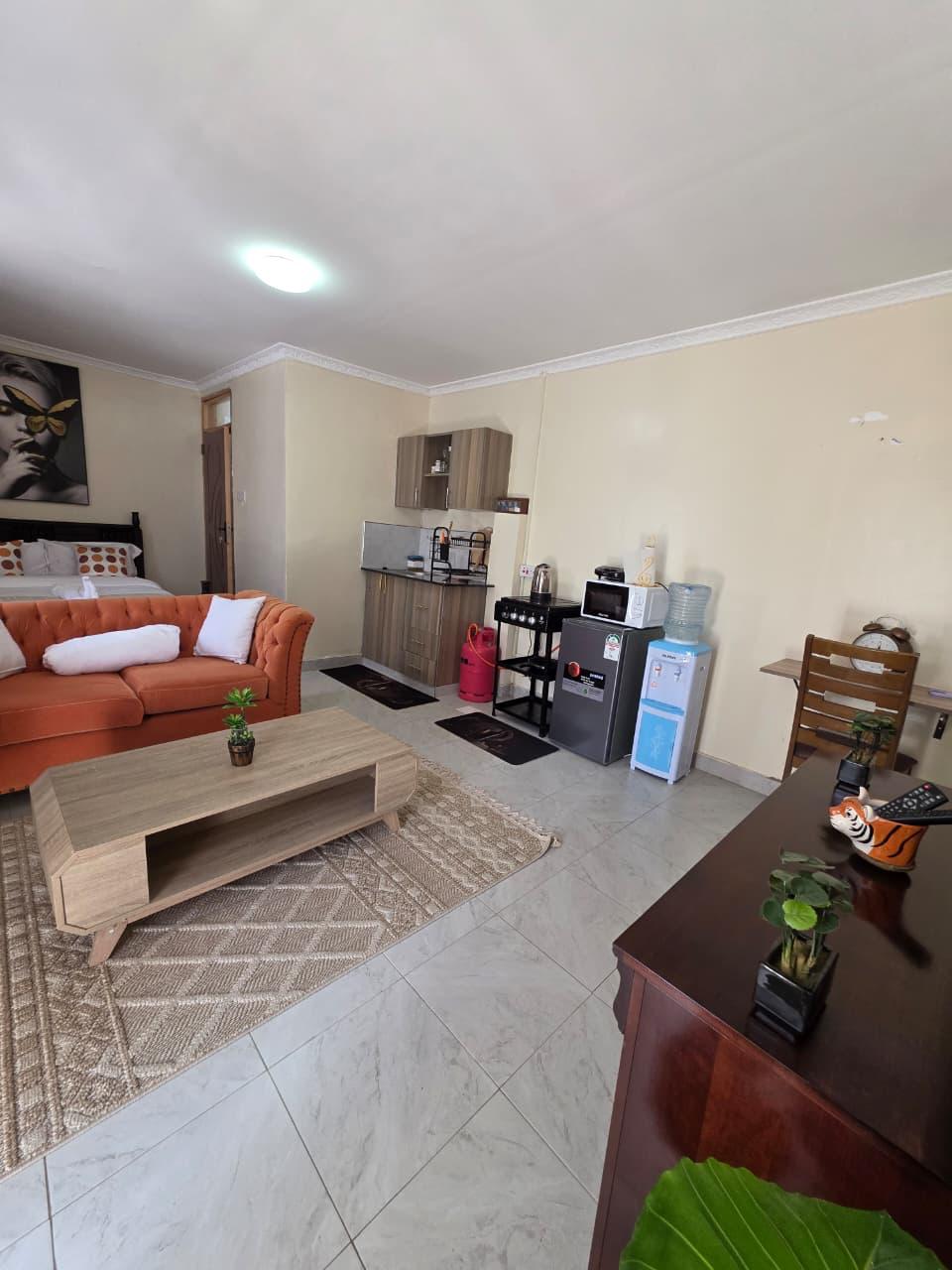 Executive Studio  Moi South Lake Road,Naivasha (T3) 9