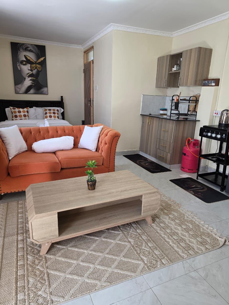 Executive Studio  Moi South Lake Road,Naivasha (T3) 10