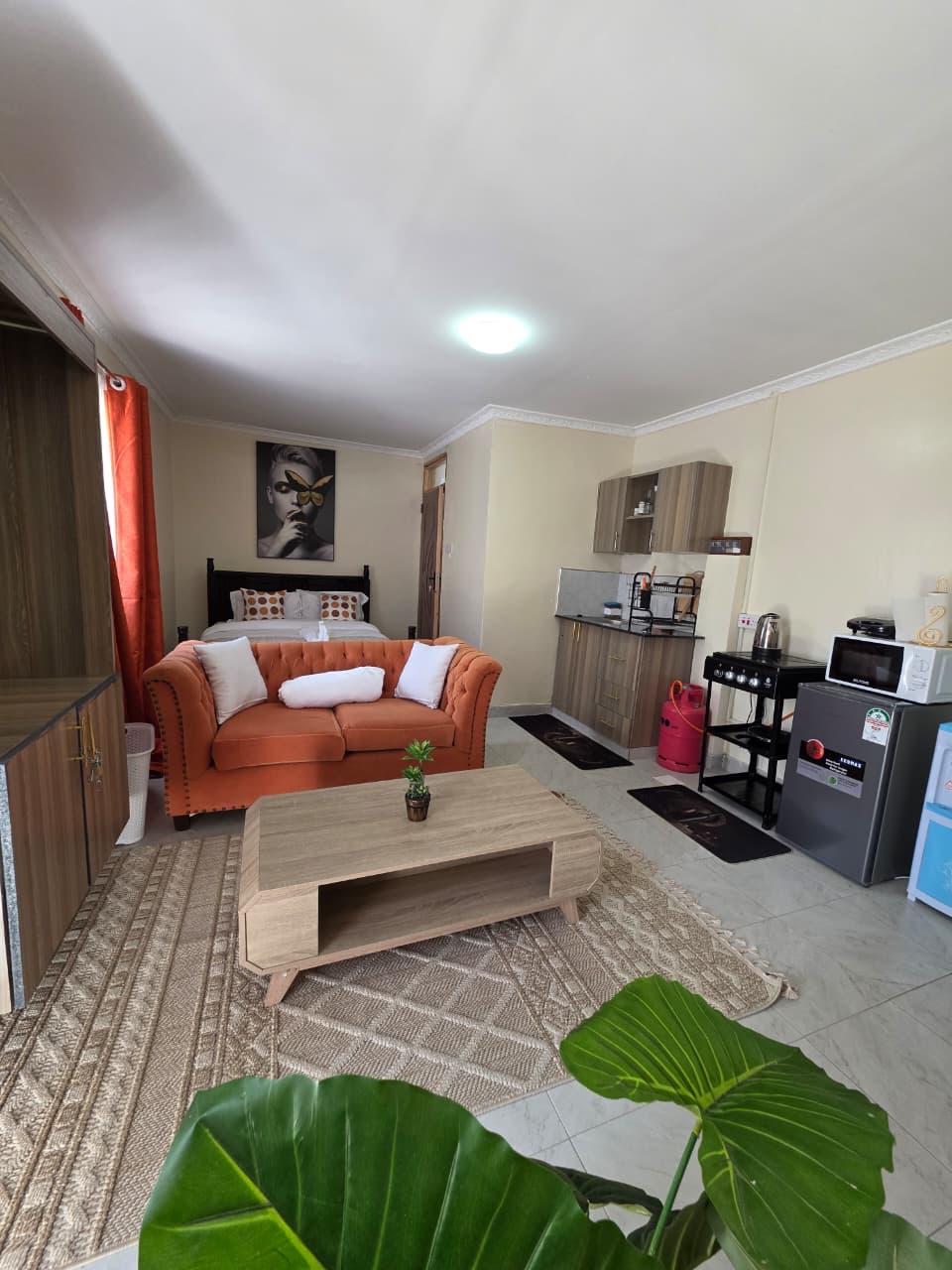 Executive Studio  Moi South Lake Road,Naivasha (T3) 11