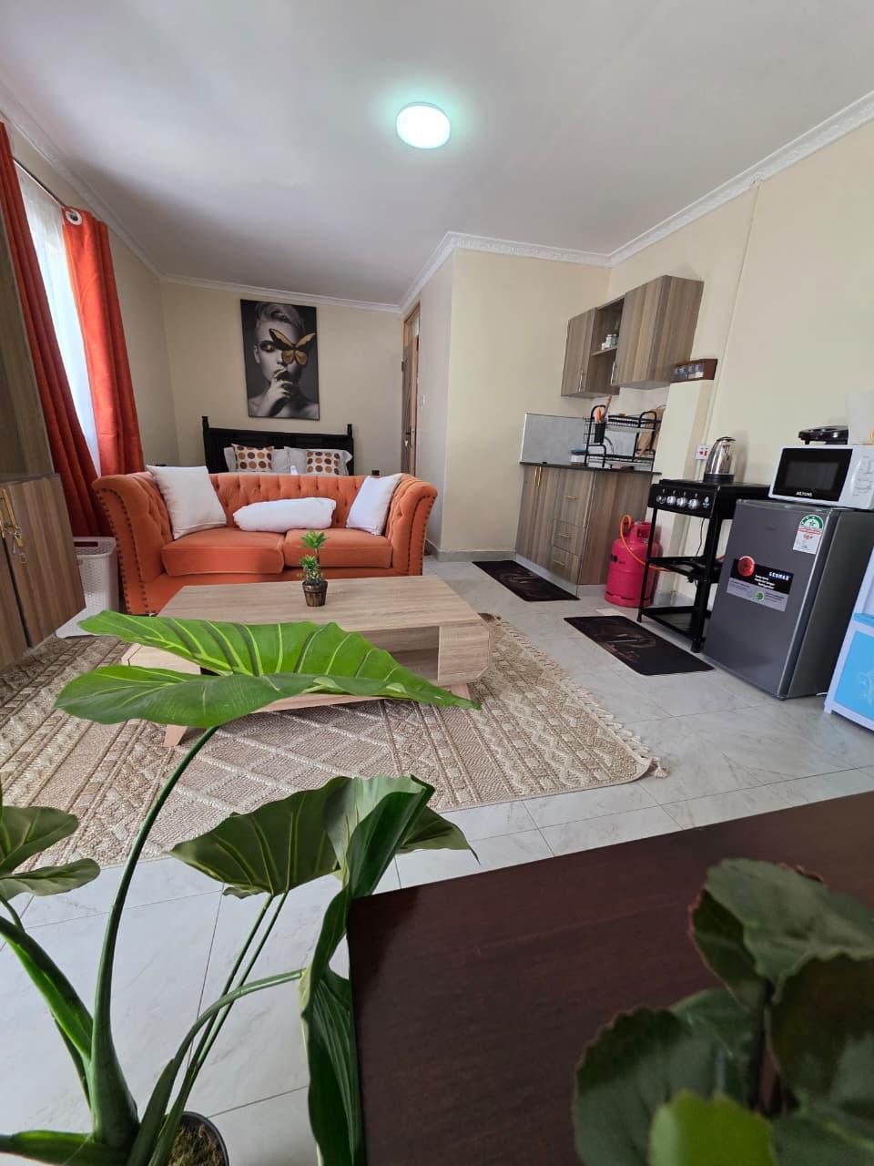 Executive Studio  Moi South Lake Road,Naivasha (T3) 12