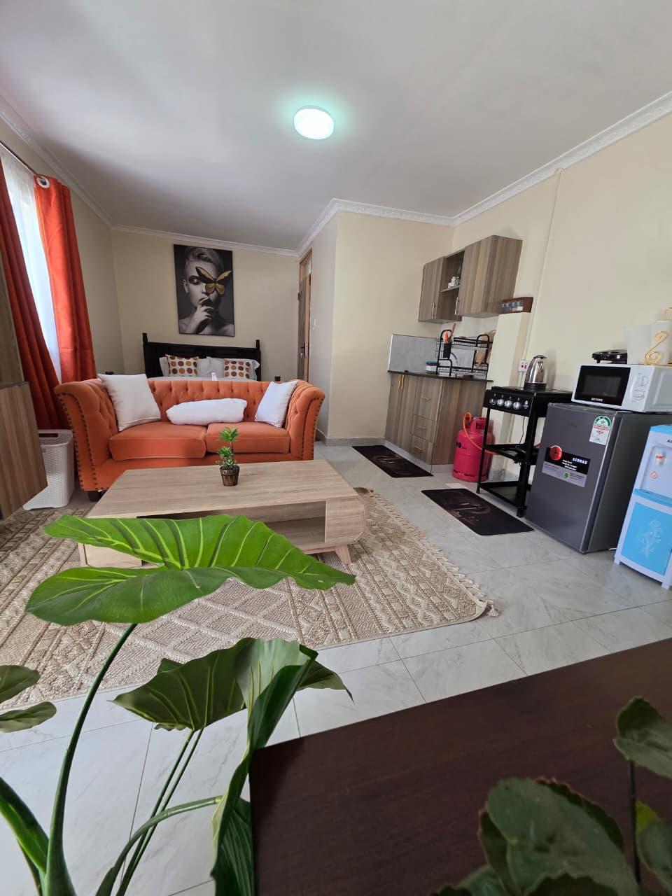 Executive Studio  Moi South Lake Road,Naivasha (T3) 4
