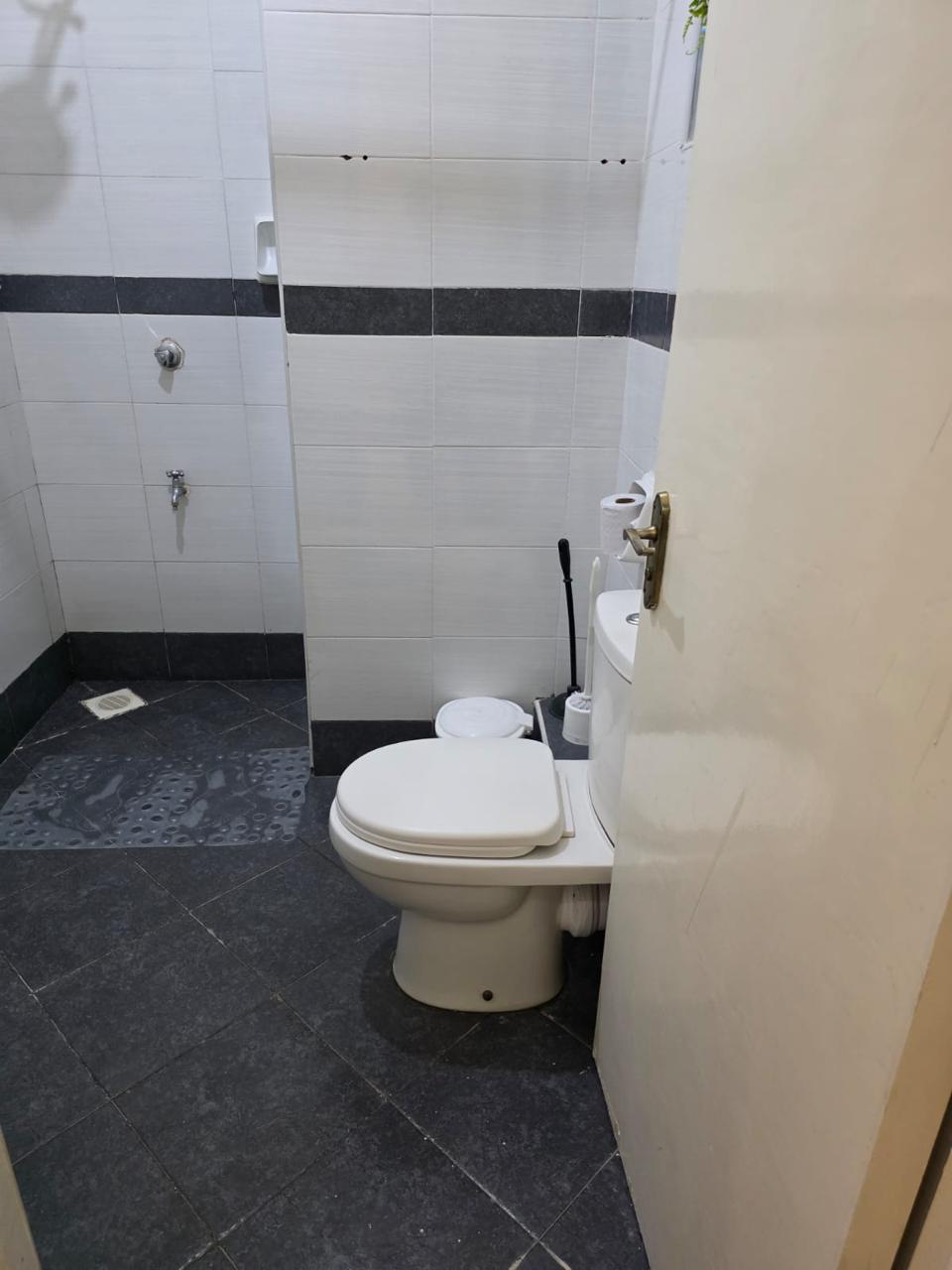 1br ,Nakuru CBD with Lake Views 10