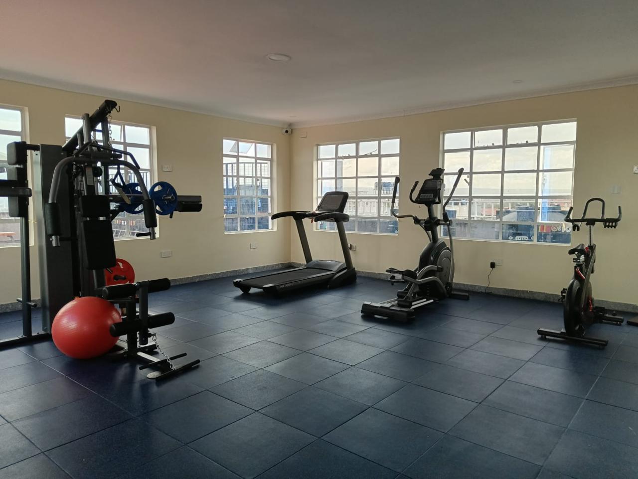 1 br ,Naka ,Nakuru with Lake views at the roof top and gym (Fancy Getaway) 3