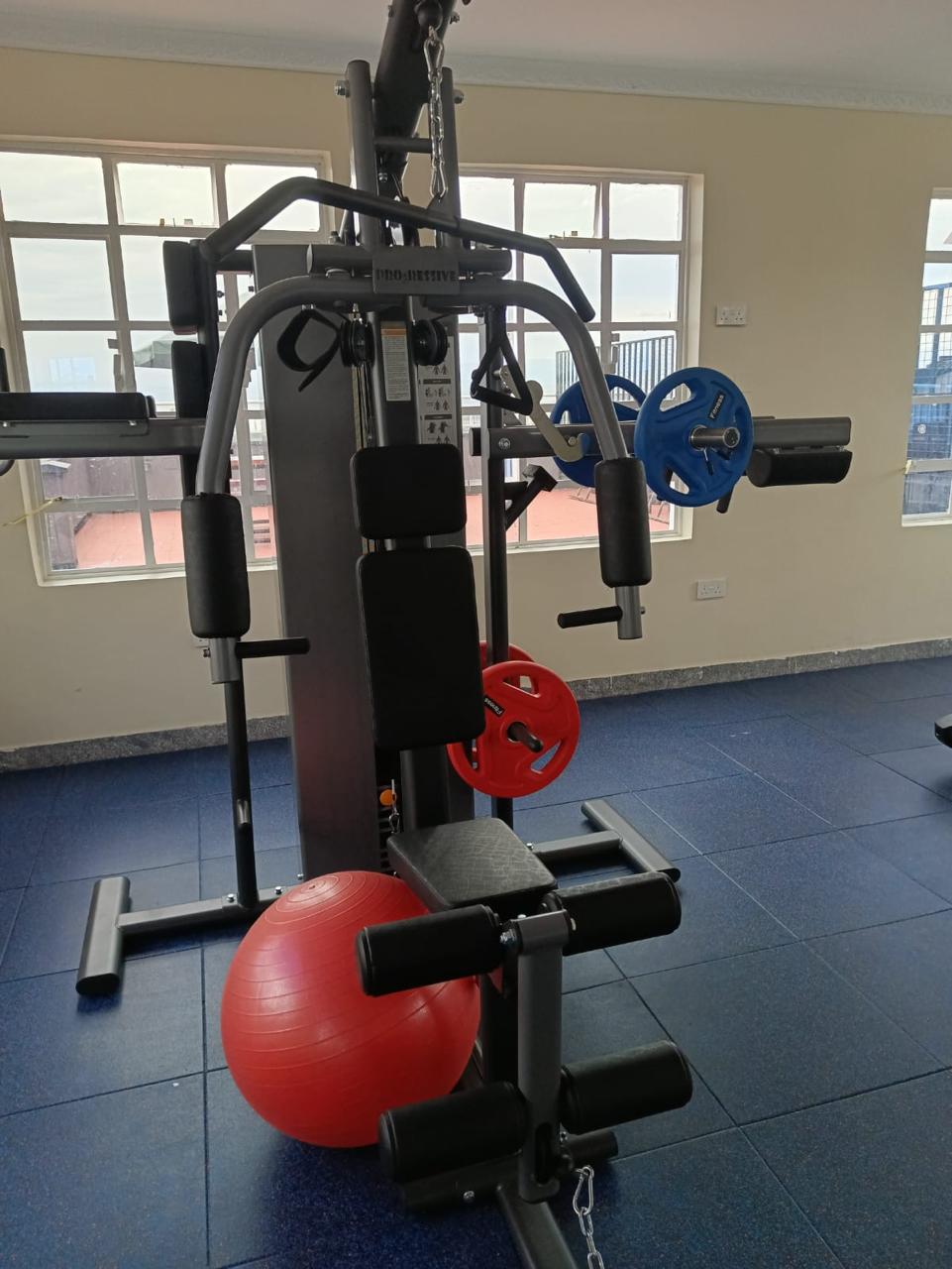 1 br ,Naka ,Nakuru with Lake views at the roof top and gym (Fancy Getaway) 4