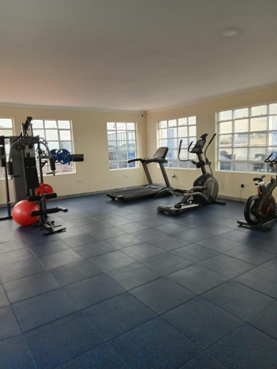 1 br ,Naka ,Nakuru with Lake views at the roof top and gym (Fancy Getaway) 6
