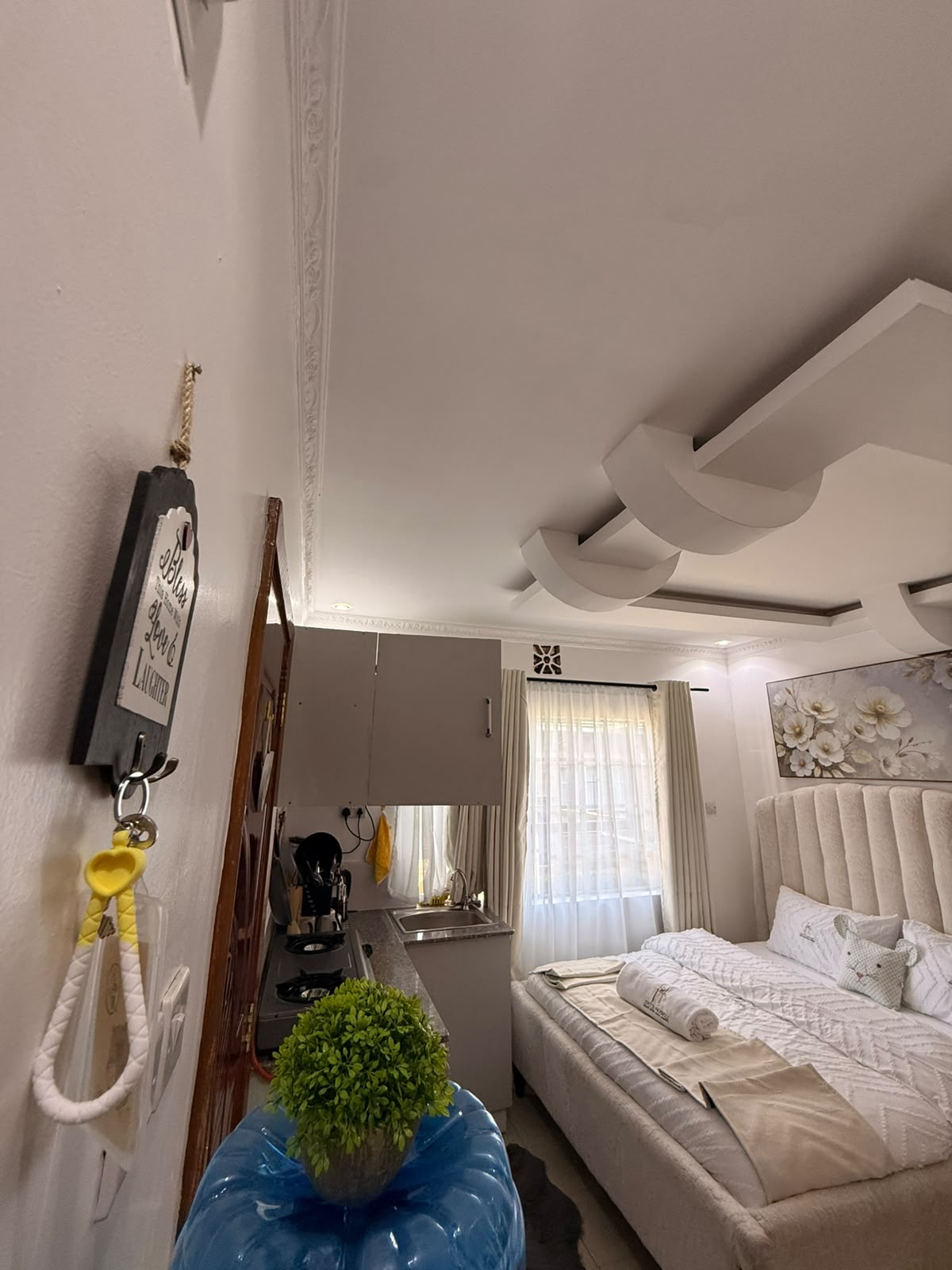 Executive Studio ,Nakuru CBD(Pivot) 3